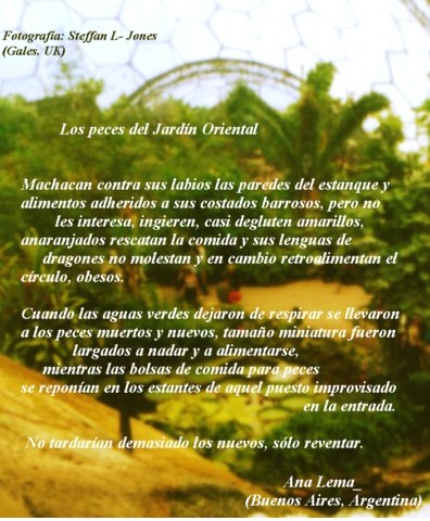 Los peces del jard�n oriental